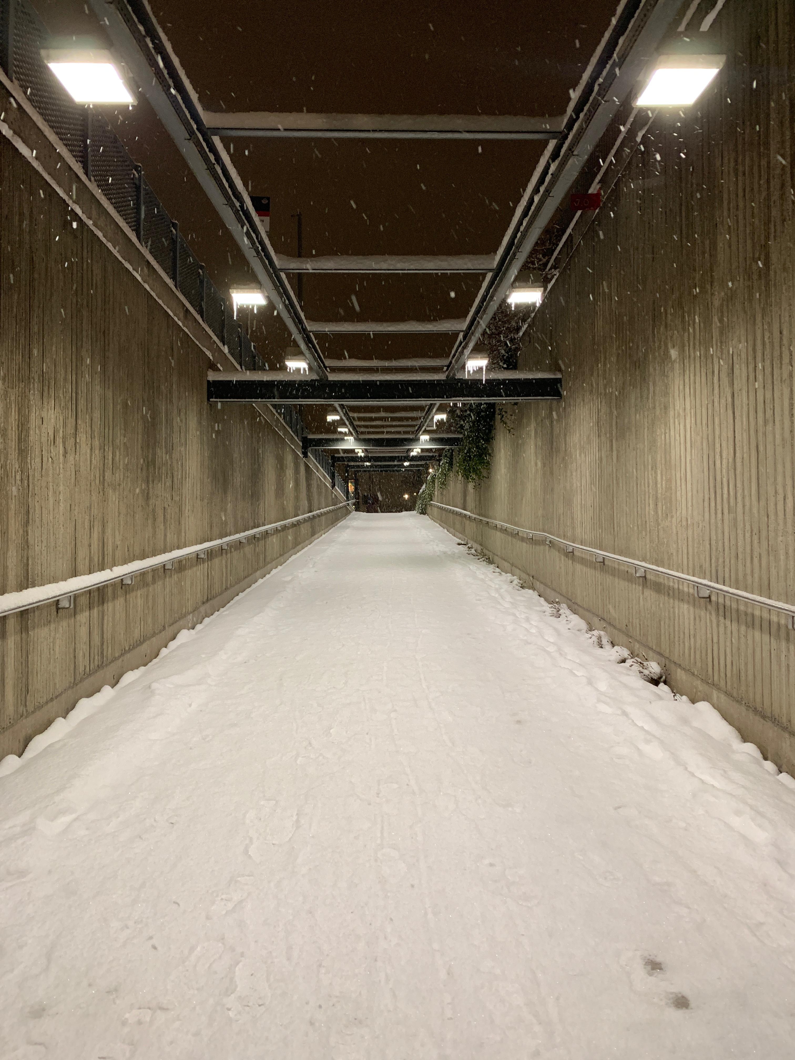 Dissatisfaction 🇸🇪